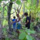 60- Chasse au kaveu 3- Mise en place des appats 